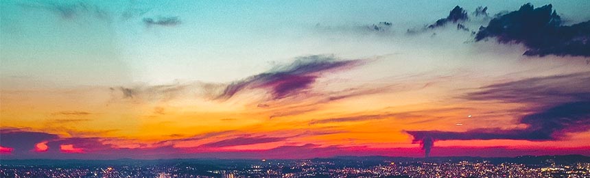 单县茶虫网_单县品茶